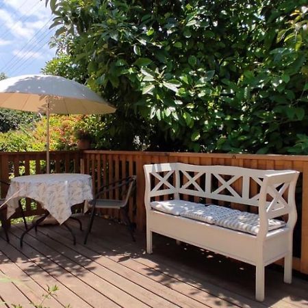 Maple'S Place - אירוח מייפל Roș Pina Exterior foto