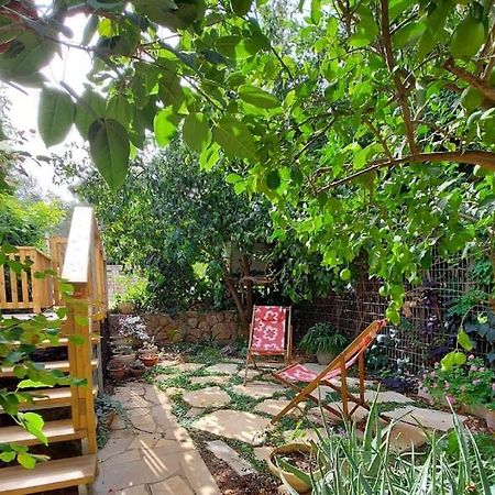 Maple'S Place - אירוח מייפל Roș Pina Exterior foto