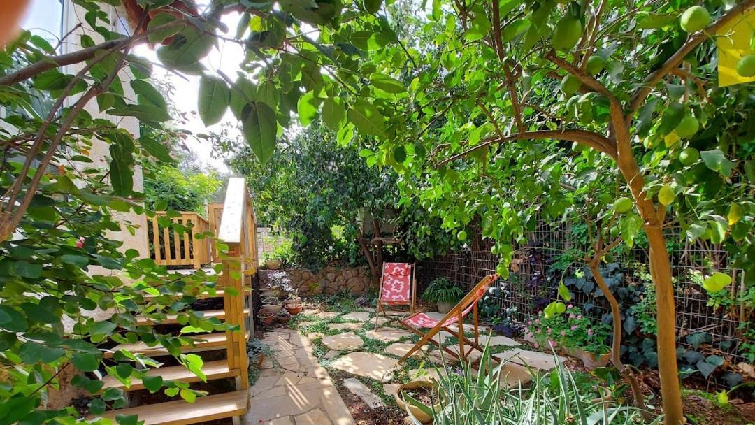 Maple'S Place - אירוח מייפל Roș Pina Exterior foto